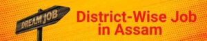 District-Wise Job